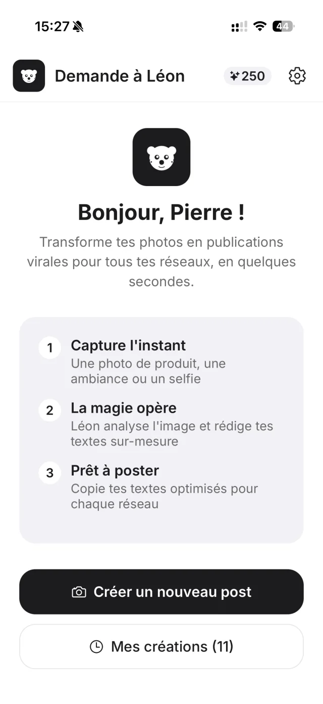 Écran 1 de l'application Demande à Léon